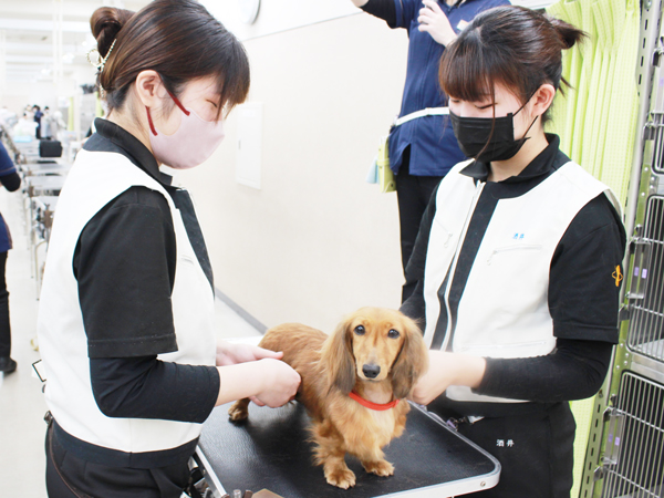体の隅々まで健康チェック！